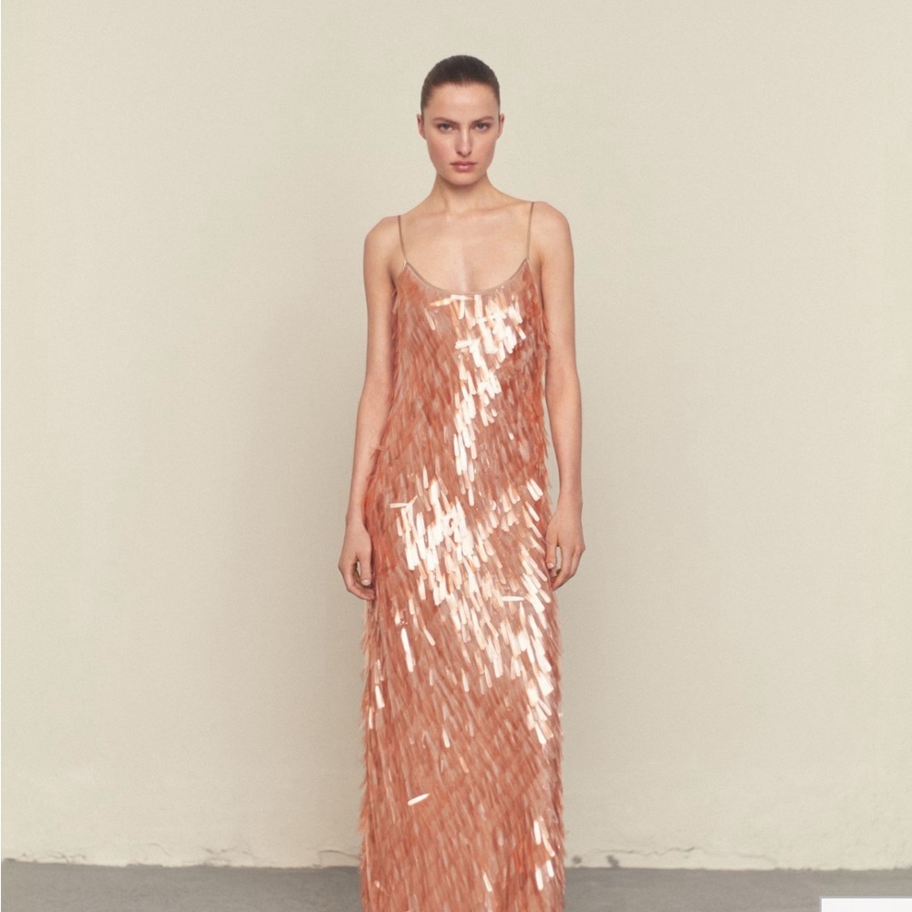 In Search Of Mango Low Cut Tear Drop Sequin Dress